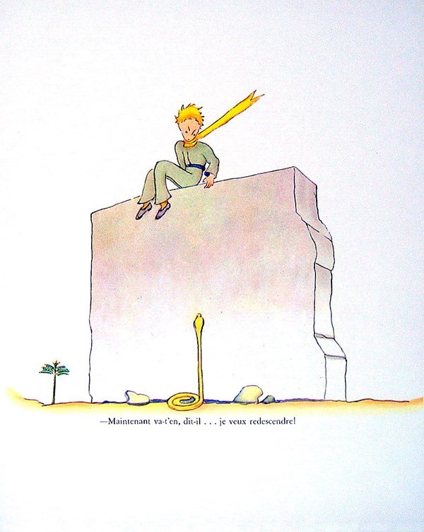 The Little Prince by Antoine de Saint-Exup&#233;ry