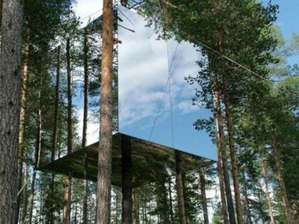 Mirrored Treehouse