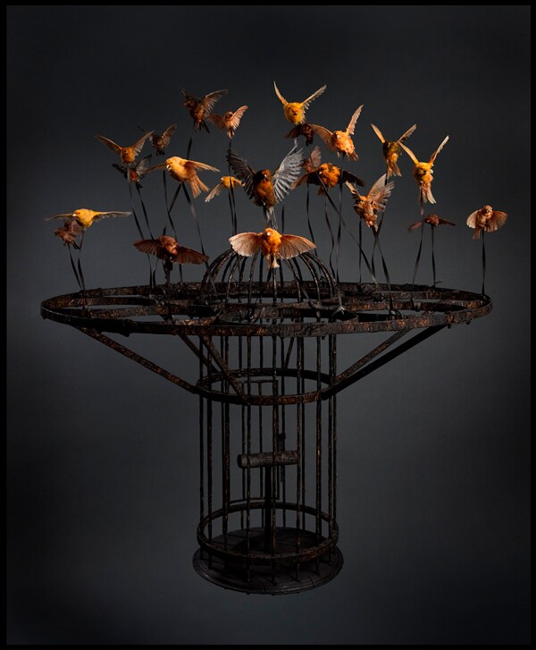 Polly Morgan