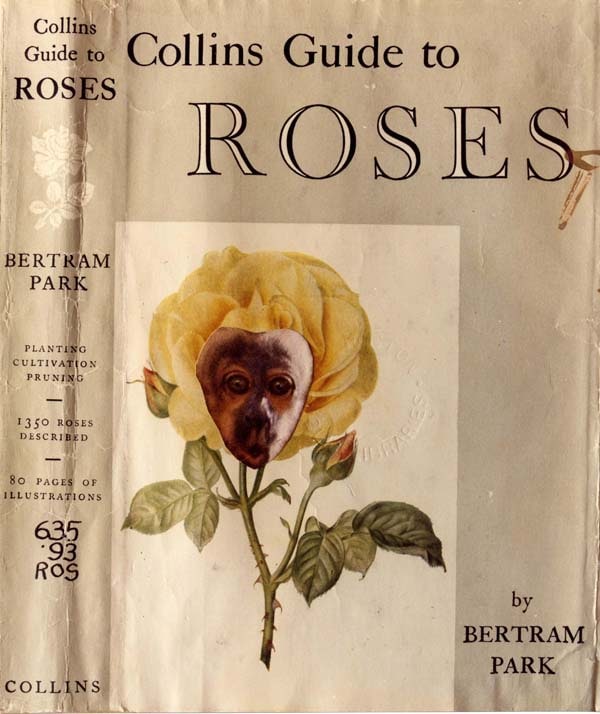Defaced book jacket and spine of &#39;Collins Guide to Roses&#39; by