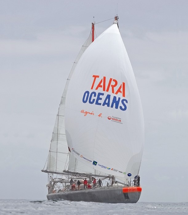 TARA Expeditions