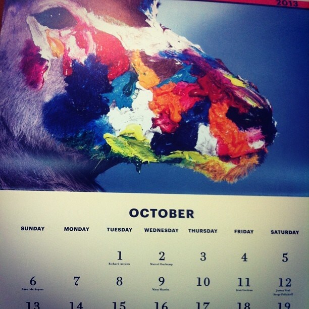 Toiletpaper Calendar