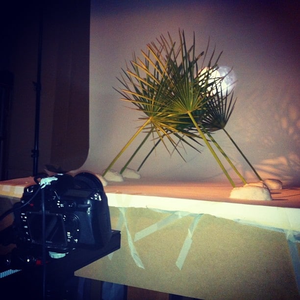 Behind the Scenes of Chanel Les Beiges for AnOther
