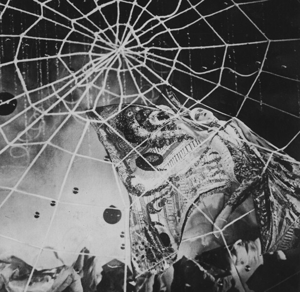 The Golden Butterfly, dir Michael Curtiz (Mih&#225;ly Kert&#233;sz), 1