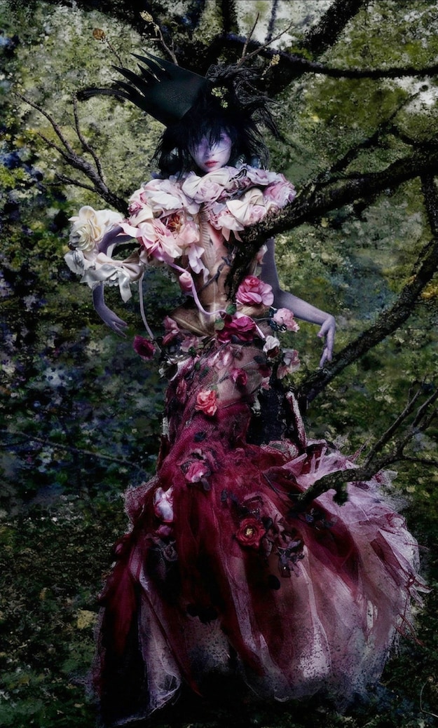 SHOWstudio 25th Anniversary