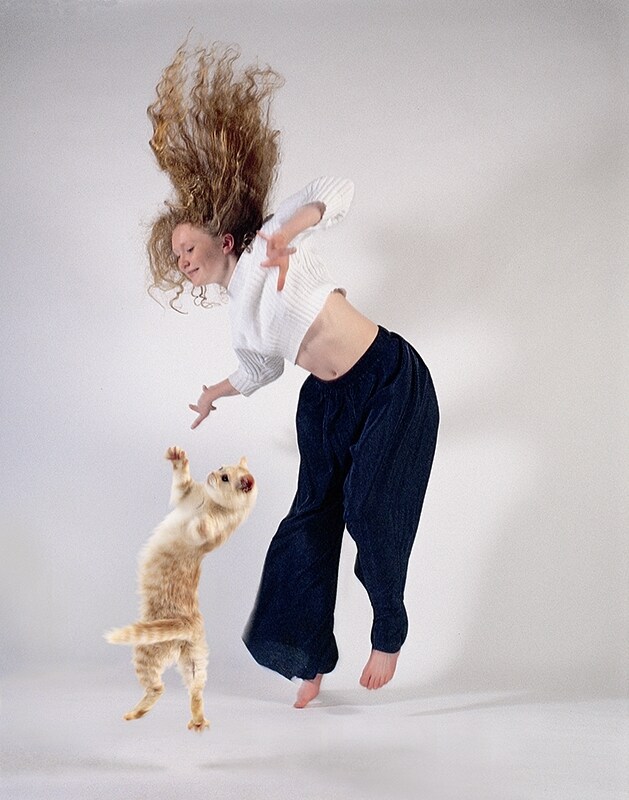 Image from Dancing with Cats by Burton Silver