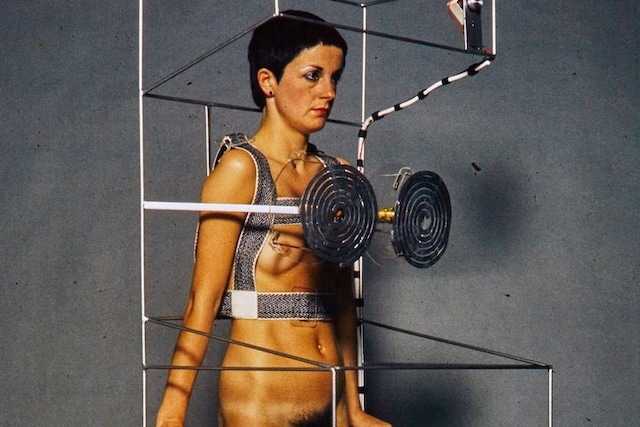 Helen Chadwick: Life Pleasures