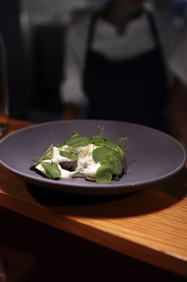 Sheep&#39;s Yoghurt with Nasturtiam Leaves