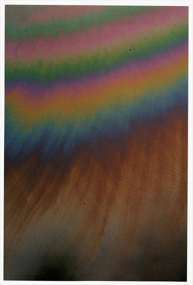 Bianca Brunner&#39;s Spill 12, 2010