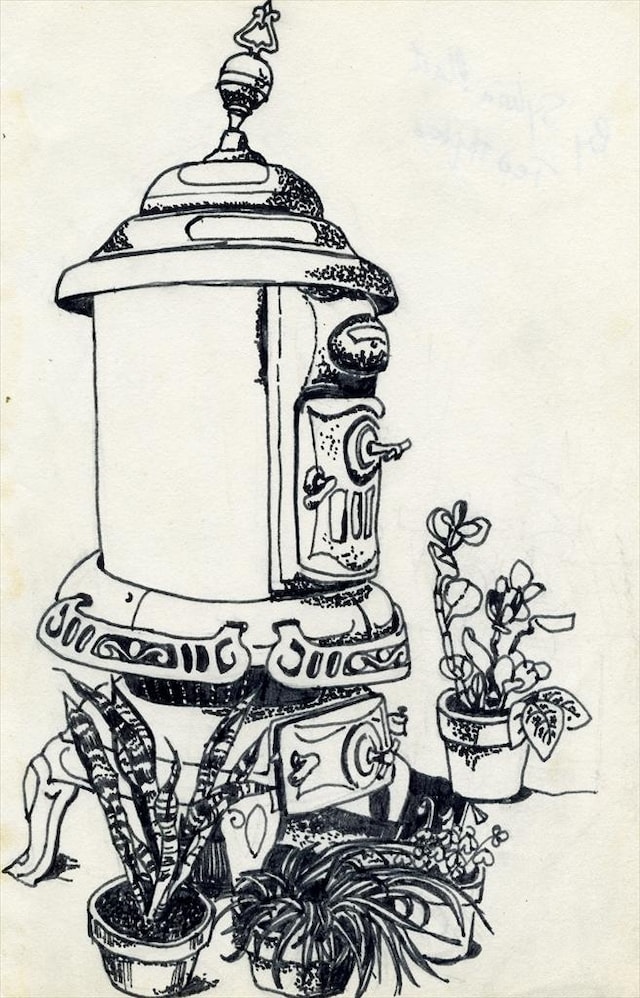 Untitled (Stove and plants)
