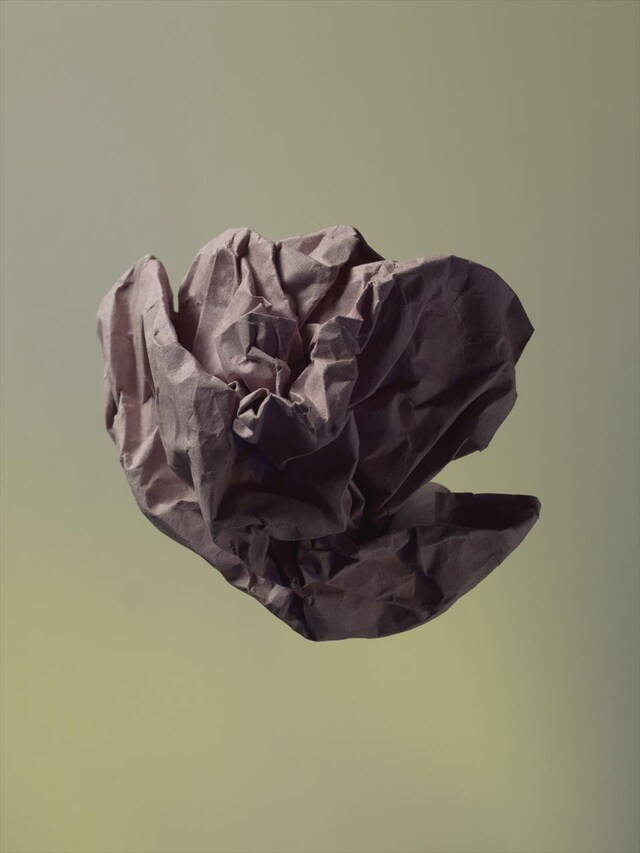 Meteor 5