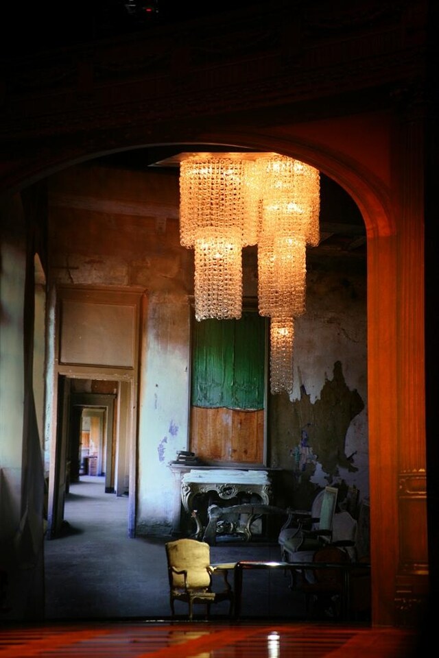 Cavalli Show, Photography by Francesco Brigida