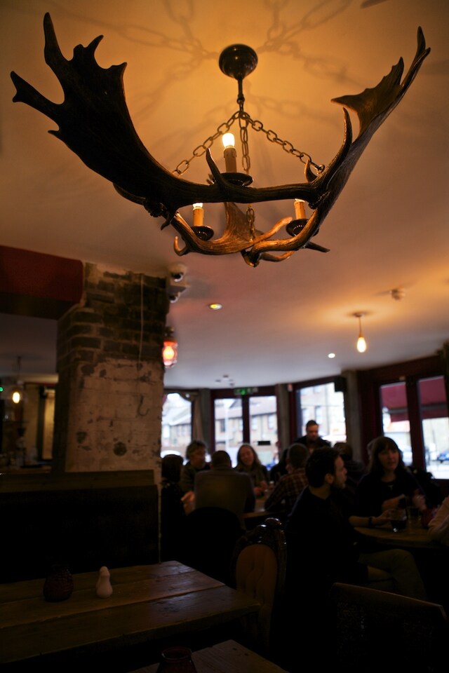 Moose horn chandelier