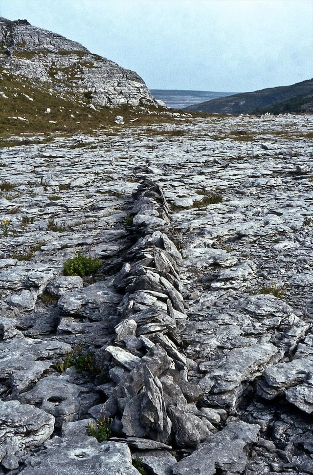 Richard Long, A Line in Ireland, 1974