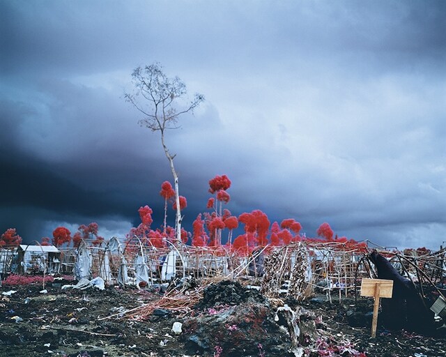 Richard Mosse,&#160;Tombstone Blues, North Kivu, Eastern Congo, 2