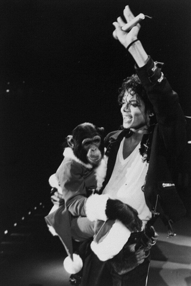 Michael Jackson and Bubbles during the Bad tour