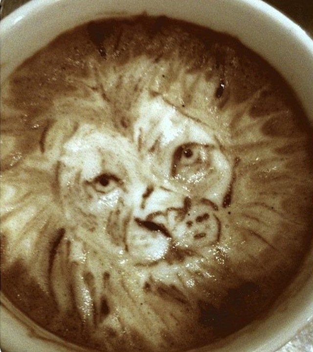 Latte lion