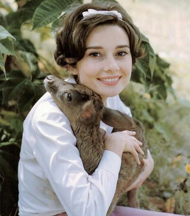 Audrey Hepburn and Pippin the fawn