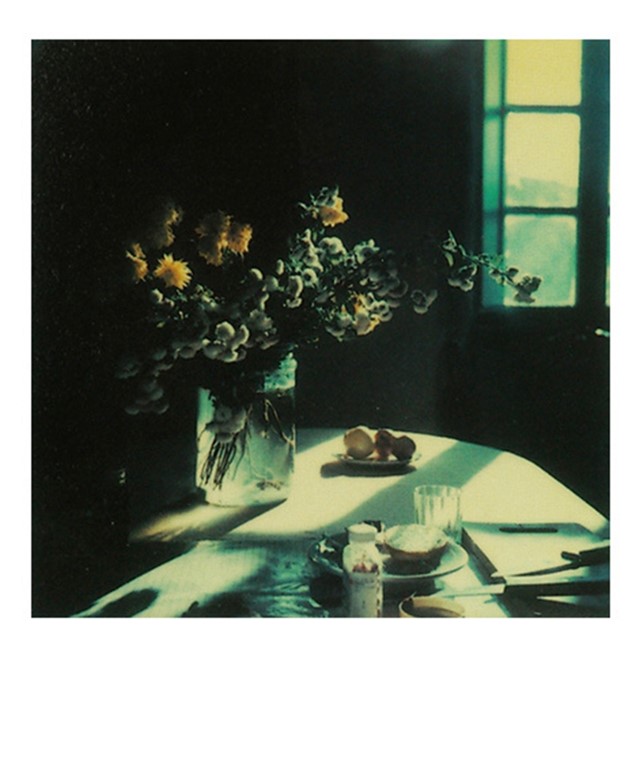 Polaroid by Andrei Tarkovsky, 1979-84
