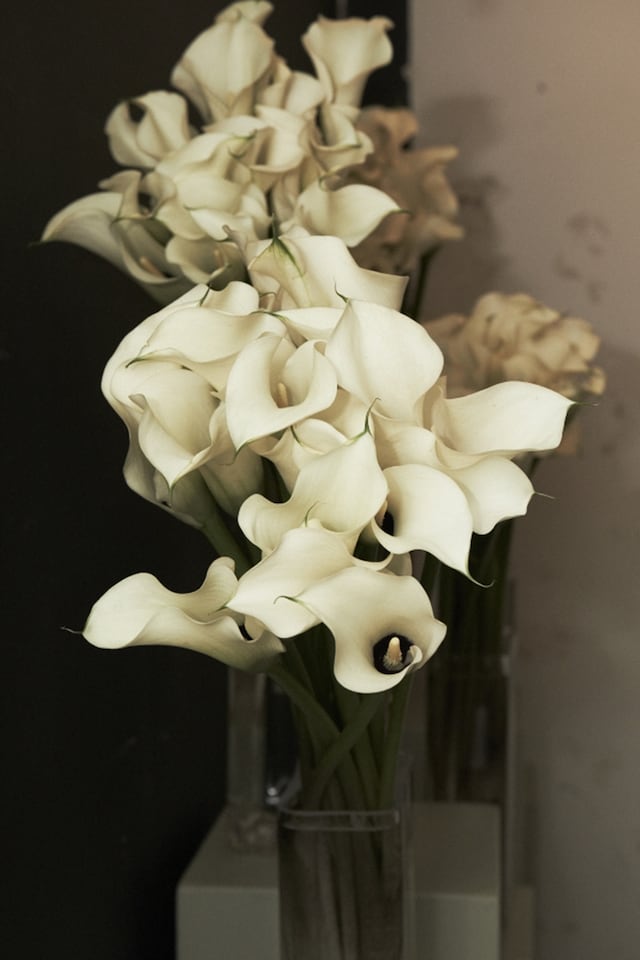 AnOther x McQueen&#39;s Launch Party