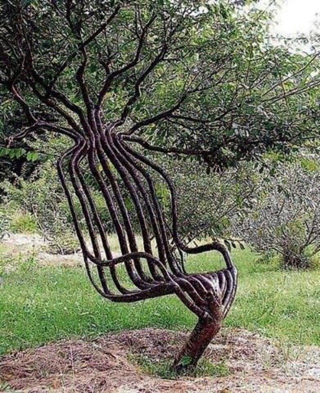 Tree chair by Peter Cook and Becky Northey