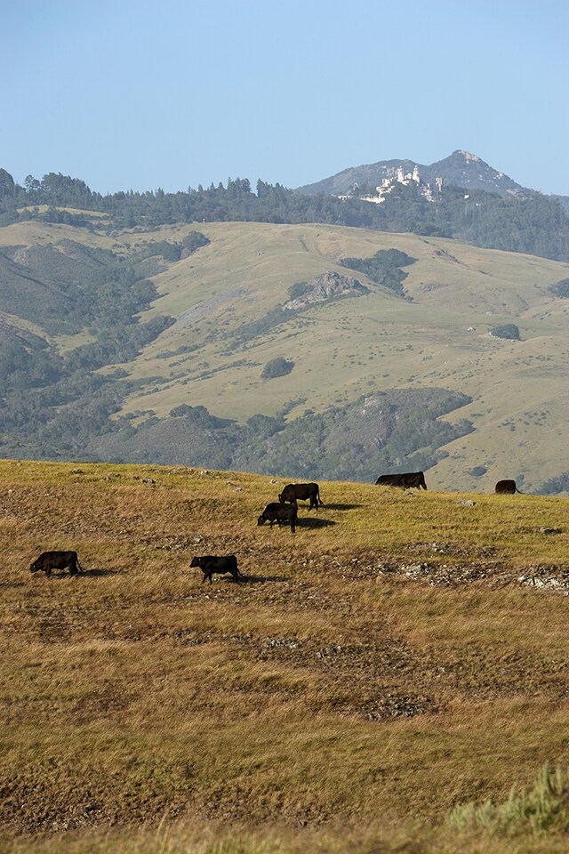 From Hearst Ranch: Family, Land and Legacy