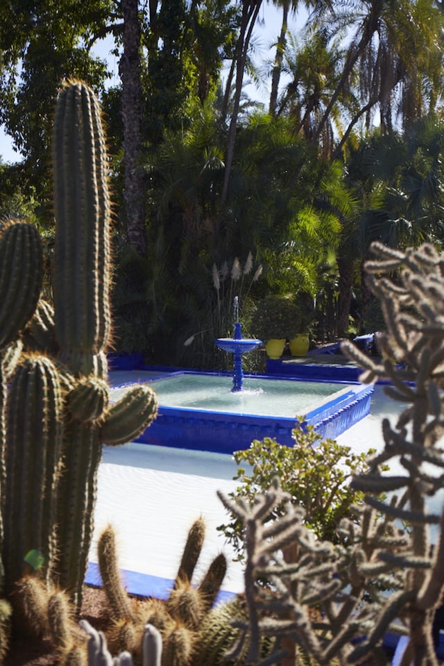 Jardin Majorelle