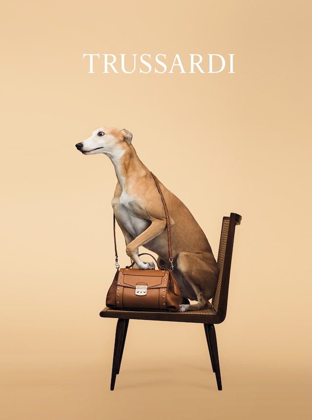Trussardi S/S14