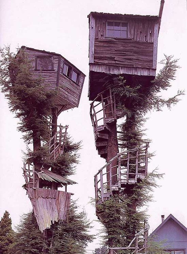 Treehouse Neighbours