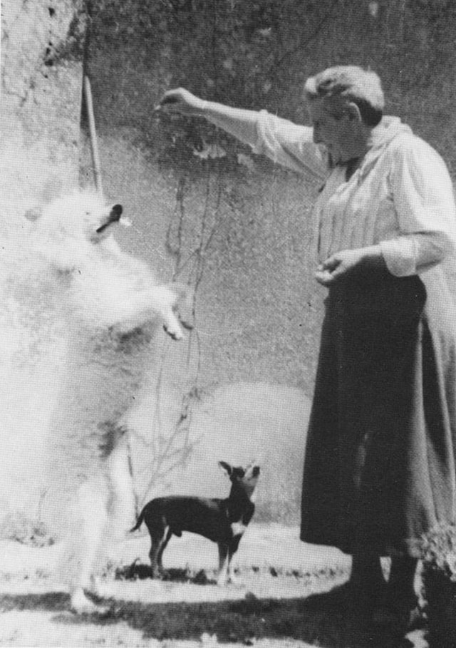 Stein with Basket and P&#233;p&#233;, 1937