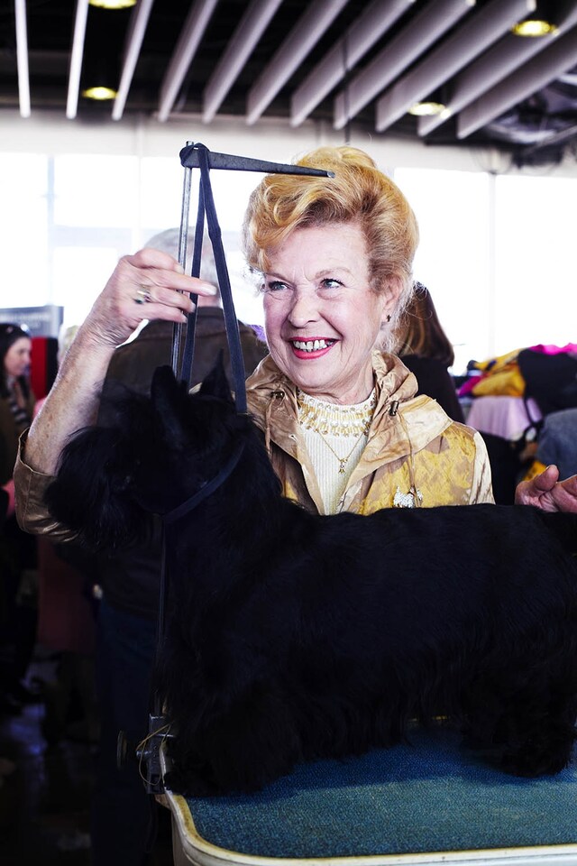 Westminster Kennel Club dog show 2014
