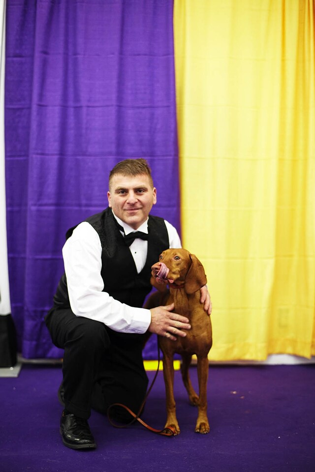 Westminster Kennel Club dog show 2014