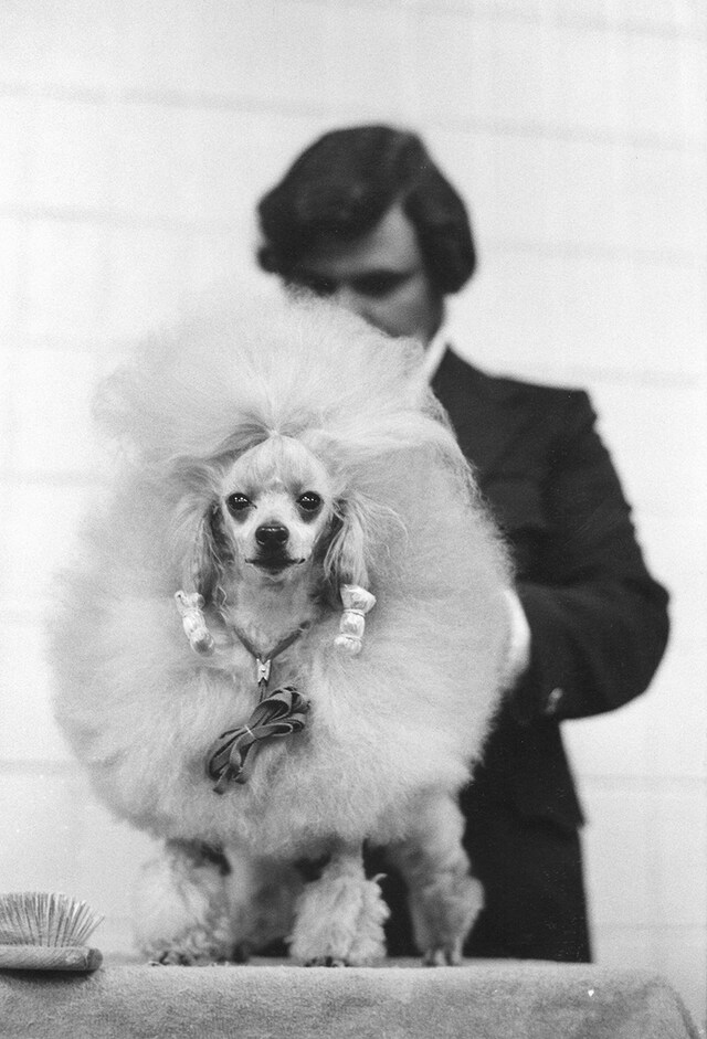 USA, New York City, 1973