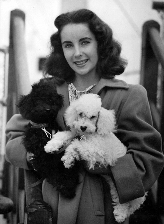 Elizabeth Taylor stands with her brother and their dog in a 