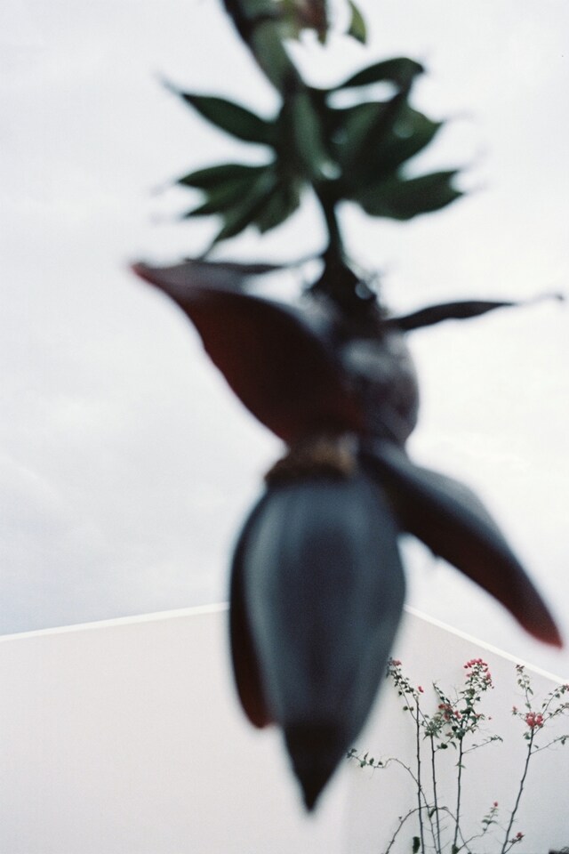 On set with Jacquemus S/S14