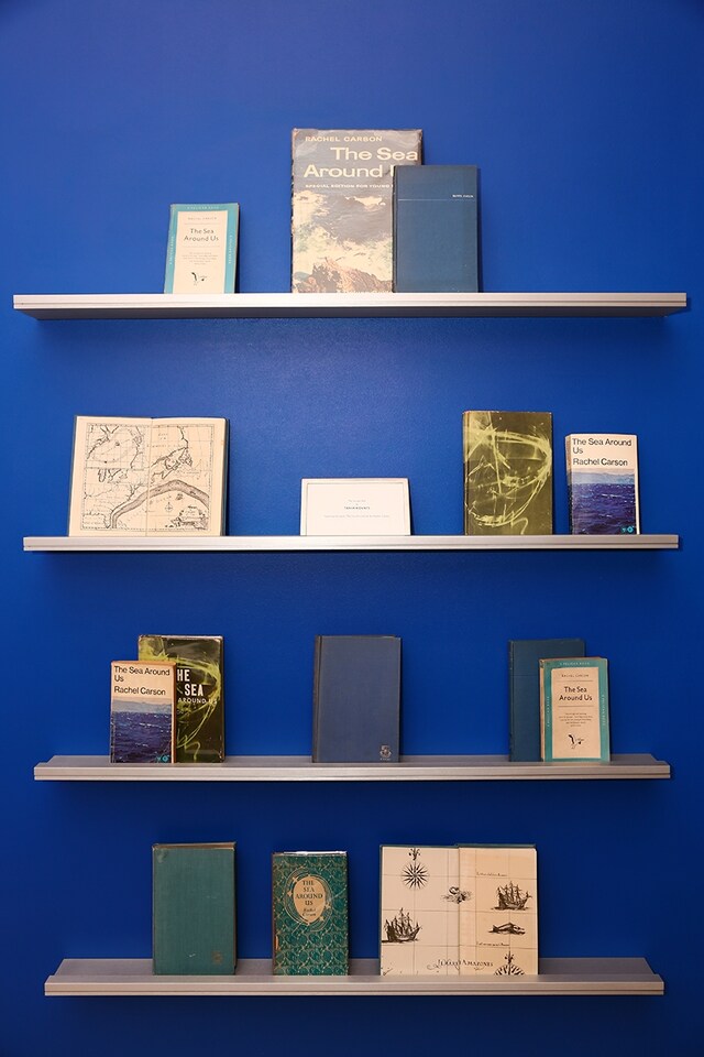 Louis Vuitton Curated Shelf by Tania Kovats