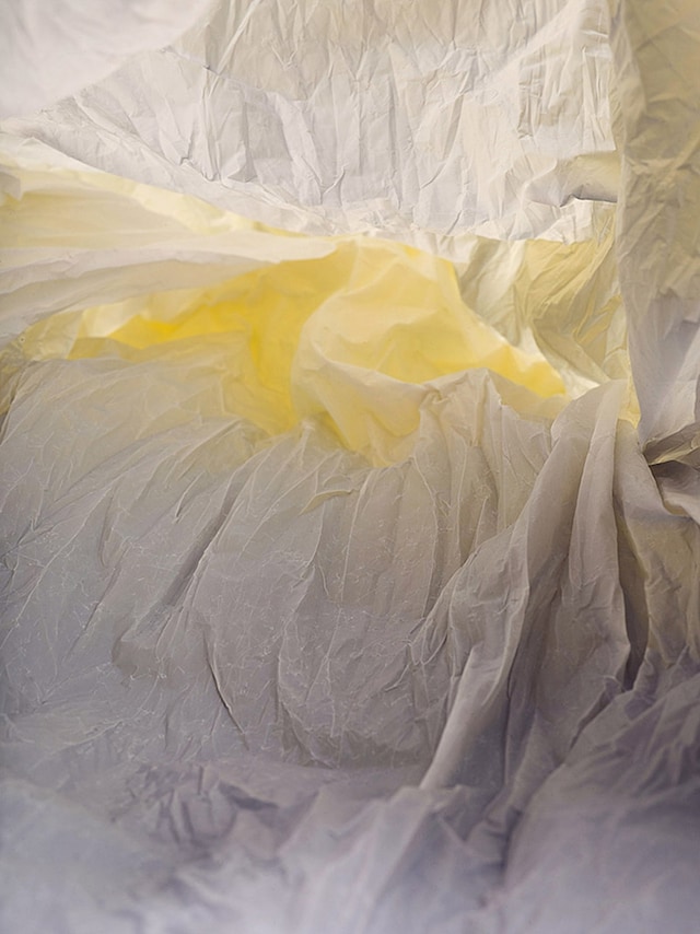 Plastic Bag Landscapes