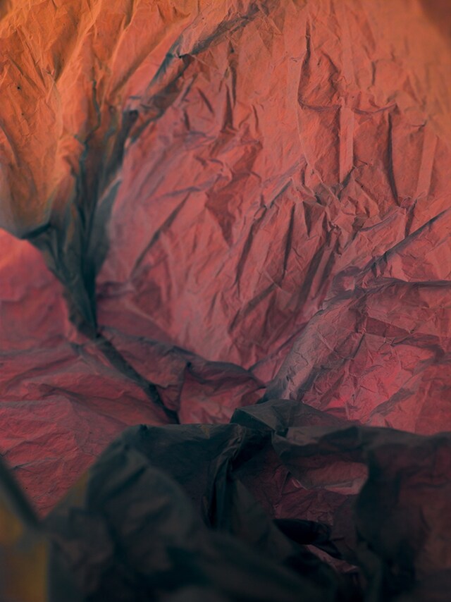 Plastic Bag Landscapes