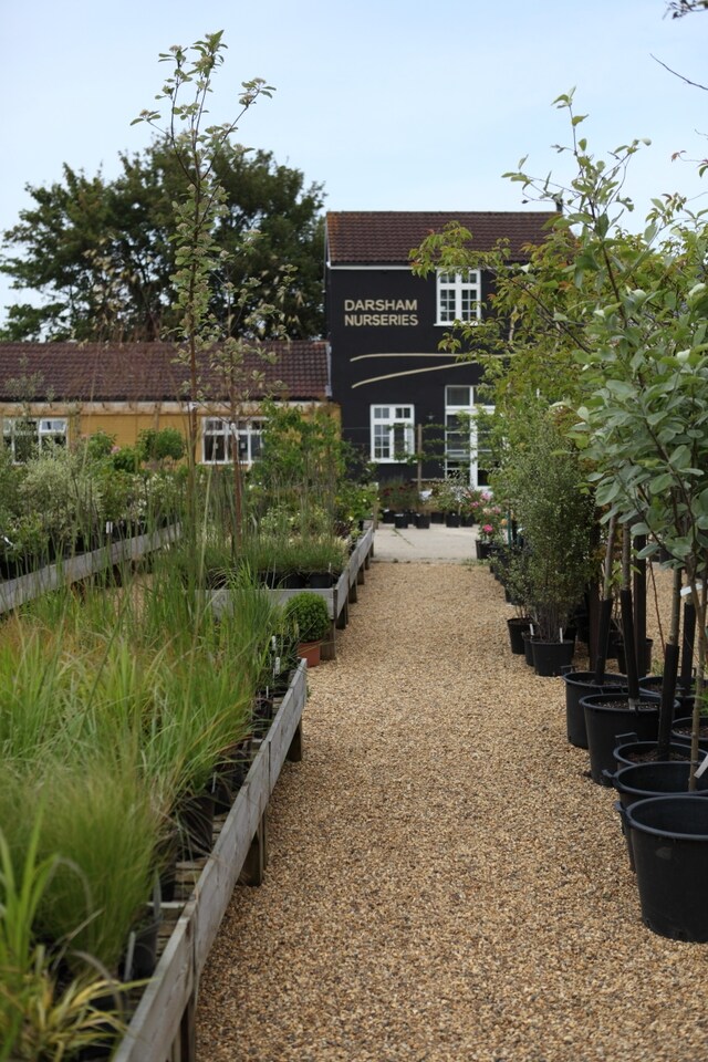 Darsham Nurseries