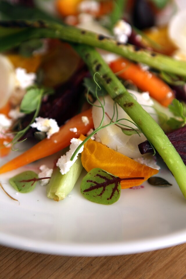 Young vegetable salad at Darsham Nurseries