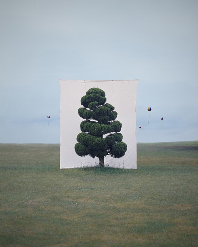 Tree #2, 2006