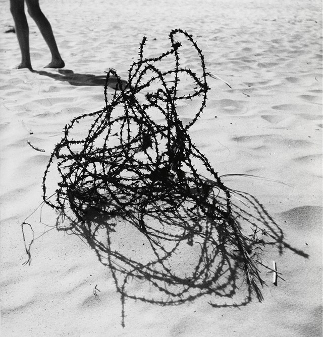 Poland, 1958. The Art Institute of Chicago, Photography Gala