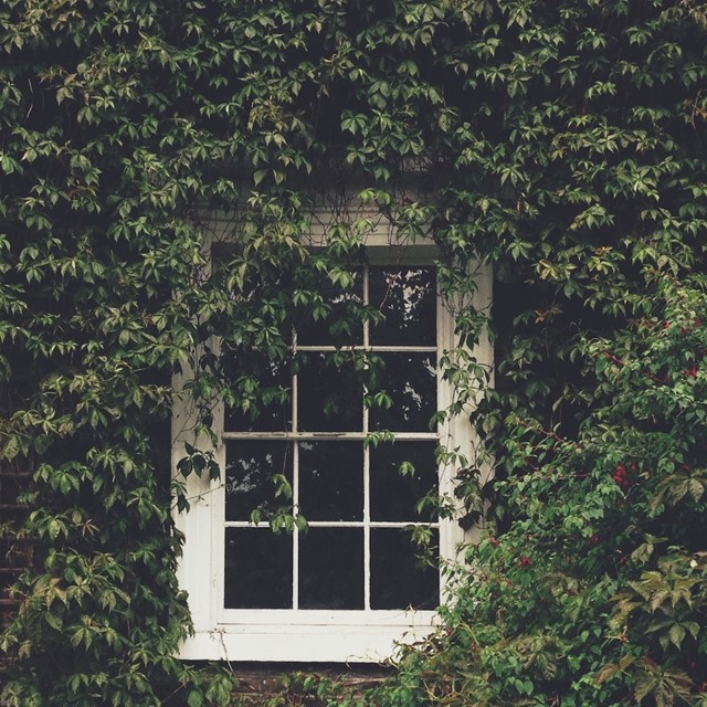 10 Amazing Windows | AnOther