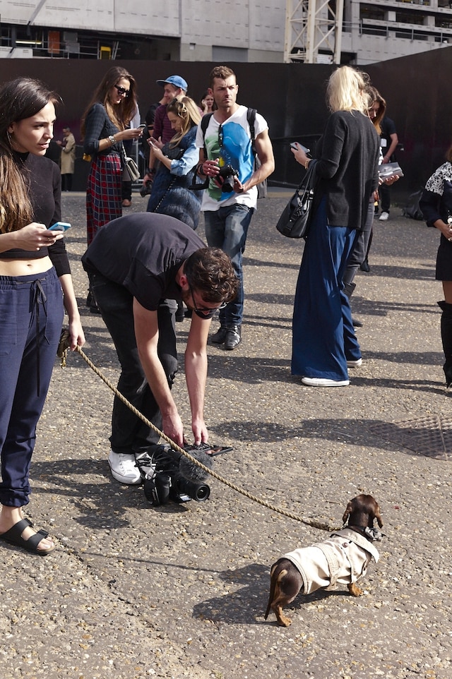 On the Phone at London Fashion Week S/S15