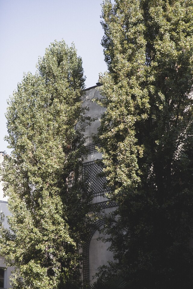 At Le Palais des Beaux-Arts, for Hussein Chalayan S/S15