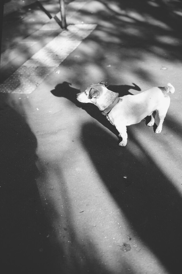 Outside H&#244;tel Salomon de Rothschild, for Maison Martin Margi