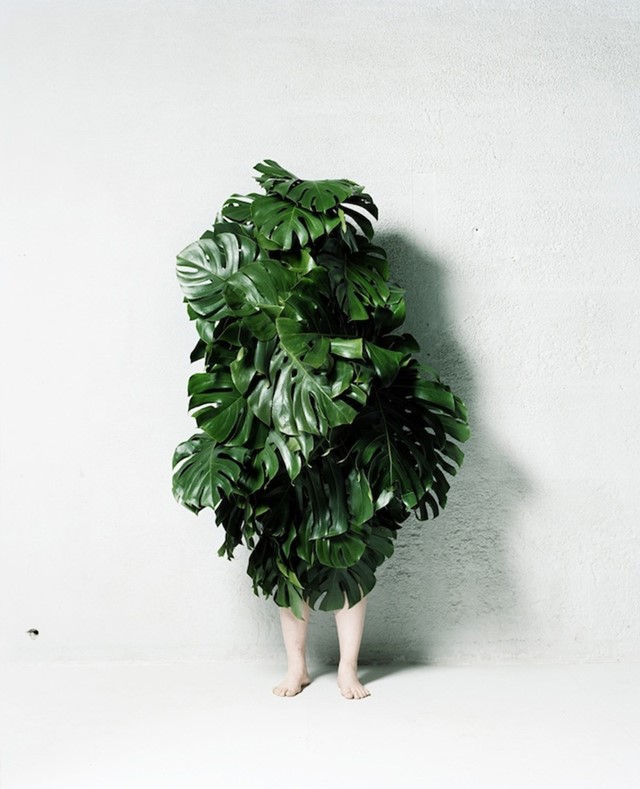 Leaf Man by Azuma Makoto