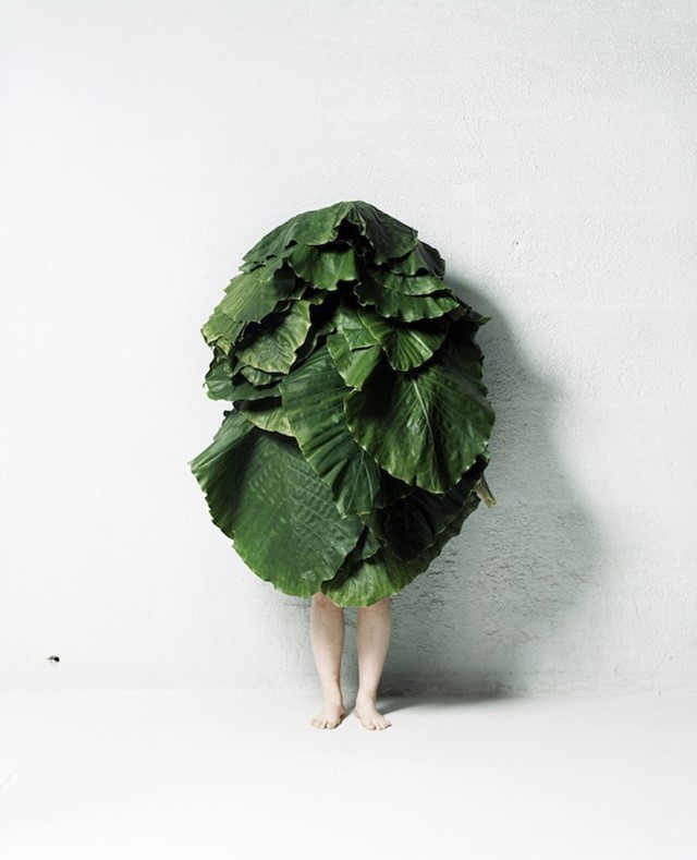 Leaf Man by Azuma Makoto