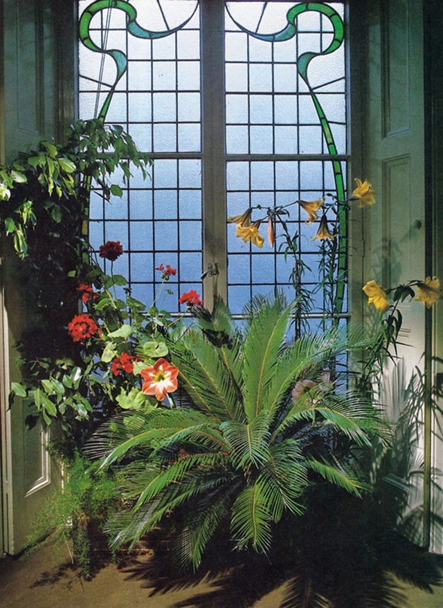 Success with House Plants, 1979