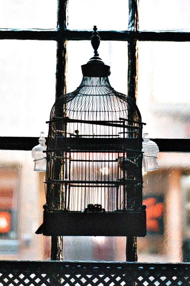 Dennis Severs&#39; House